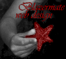 Blazermate Web Design
