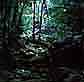 Greater Conjola 1